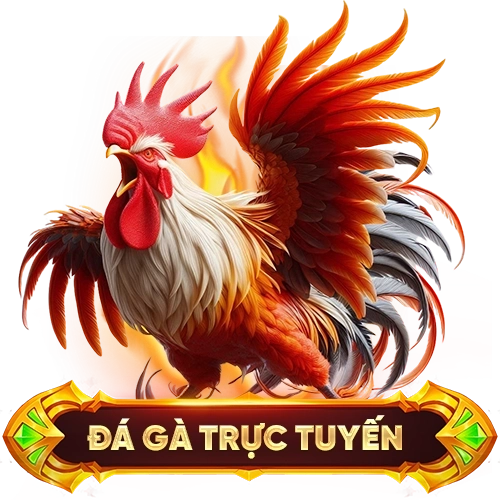 đá gà trực tuyến M88
